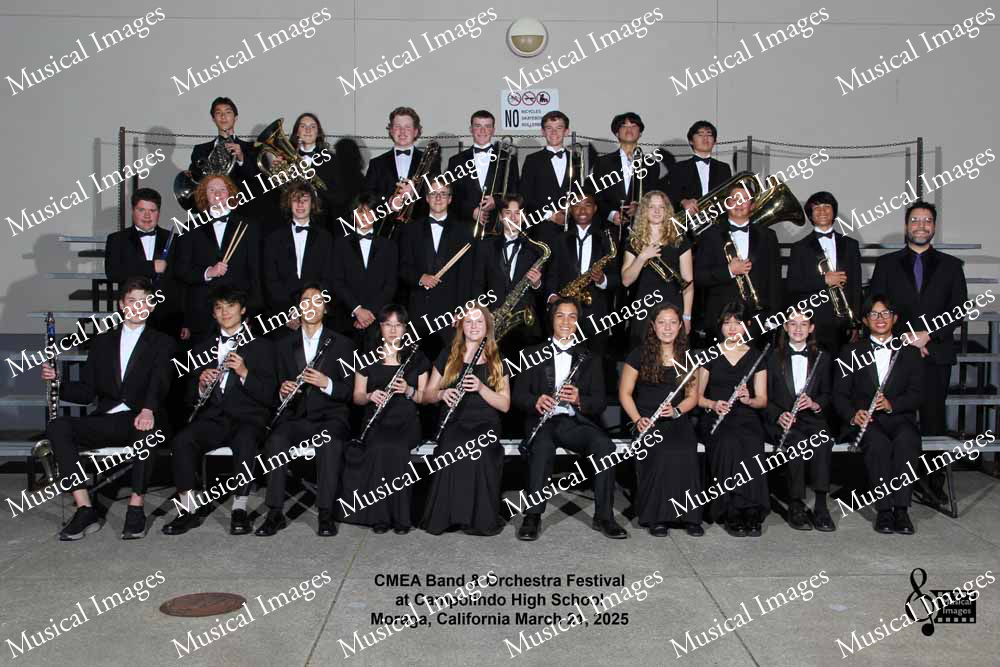 Musical Images